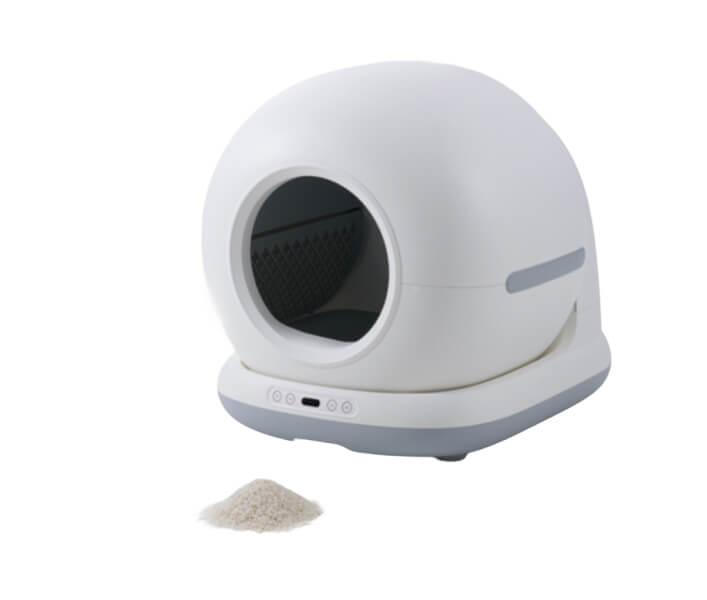 CT-100ca_카사바