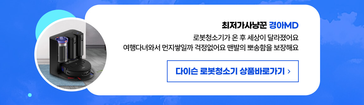 260721_다이슨로청리뷰